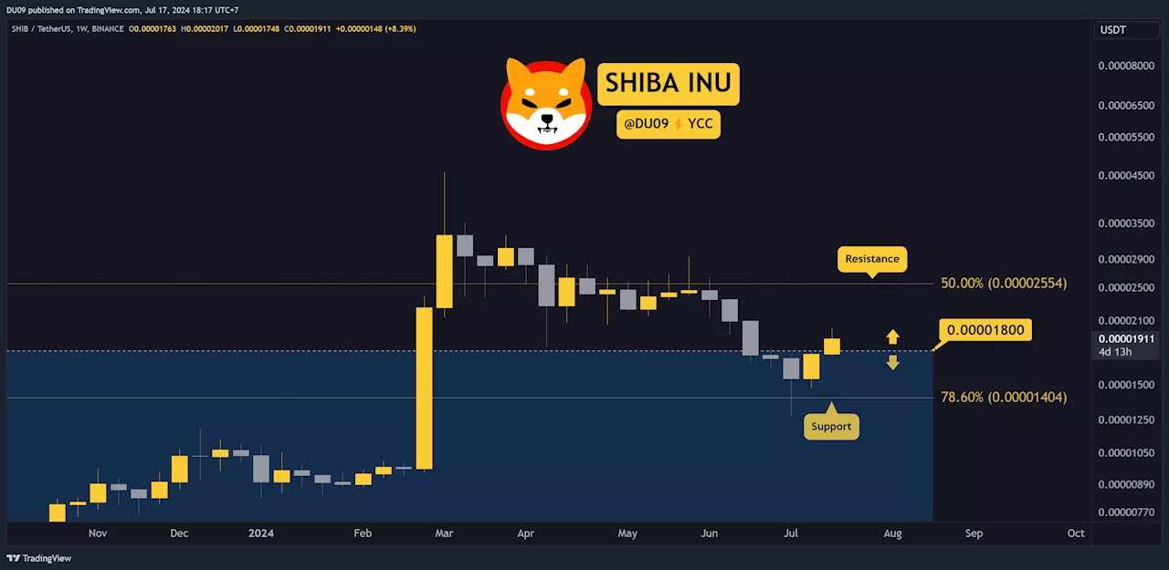 Why is the Shiba Inu (SHIB) Price Up This Week?