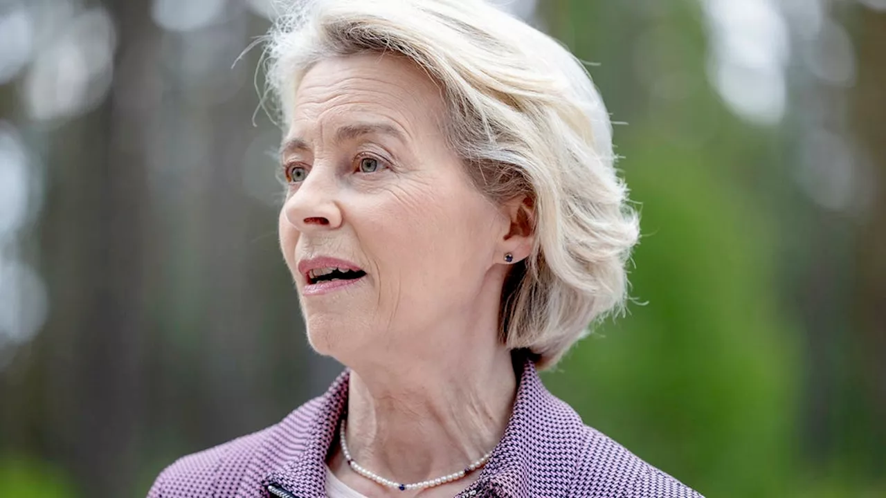 'MP stöder Ursula von der Leyen som EU-kommissionens ordförande'