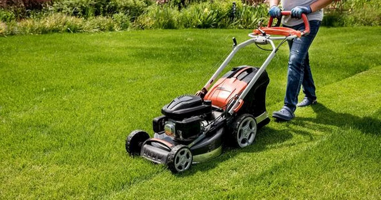 'Worst mistake' when mowing lawn that causes weeds