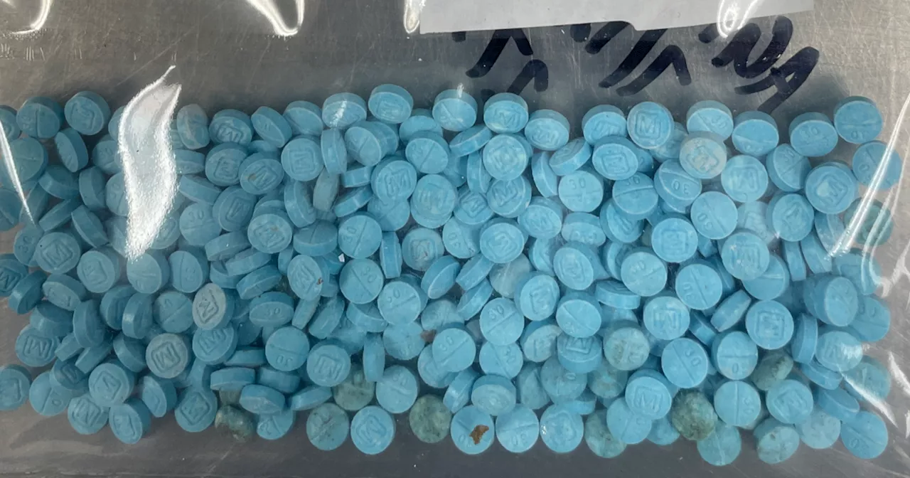 Boulder police make arrest after man stabbed on pike path, seize nearly 300 fentanyl pills