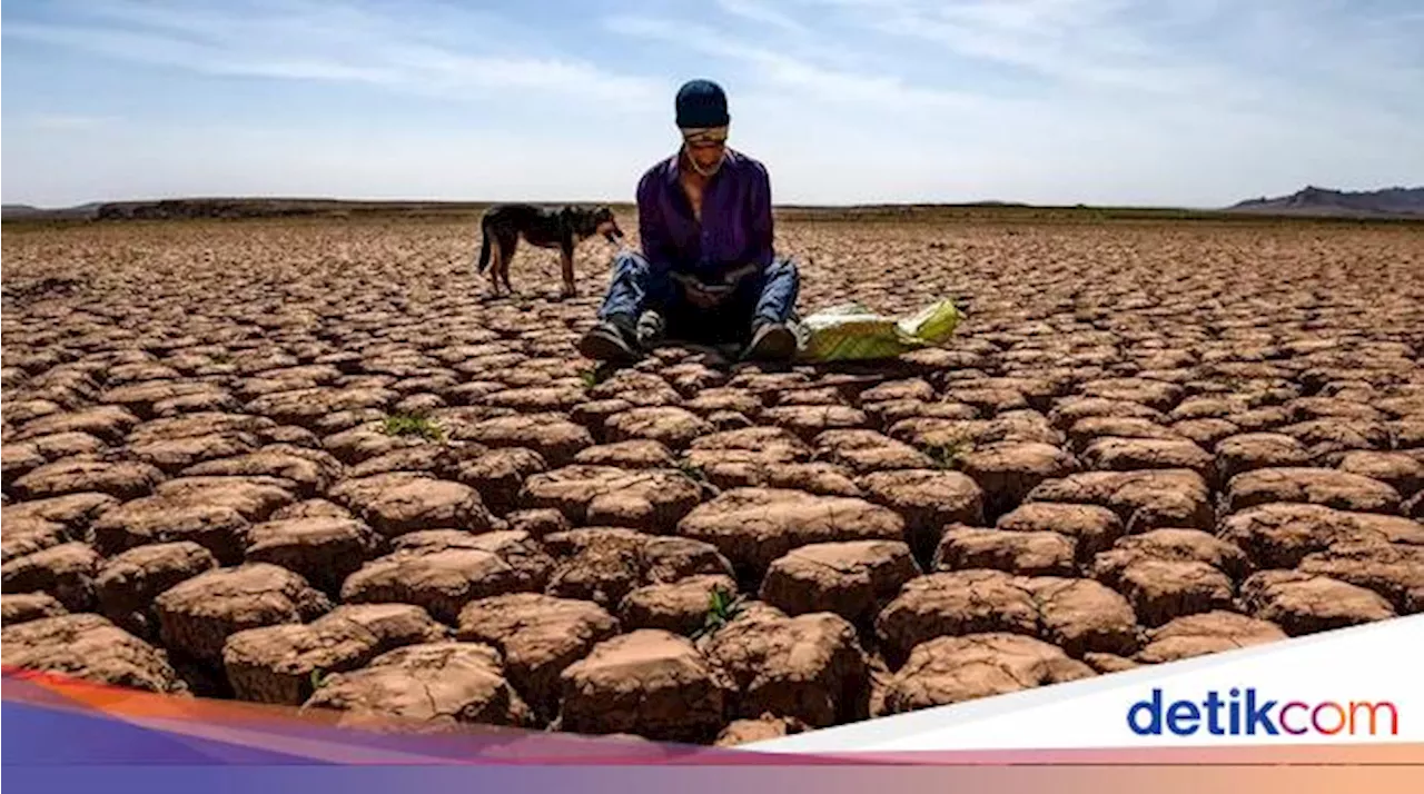 Profesor Riset BRIN Ungkap Bidang Keilmuan Kunci Mitigasi Perubahan Iklim