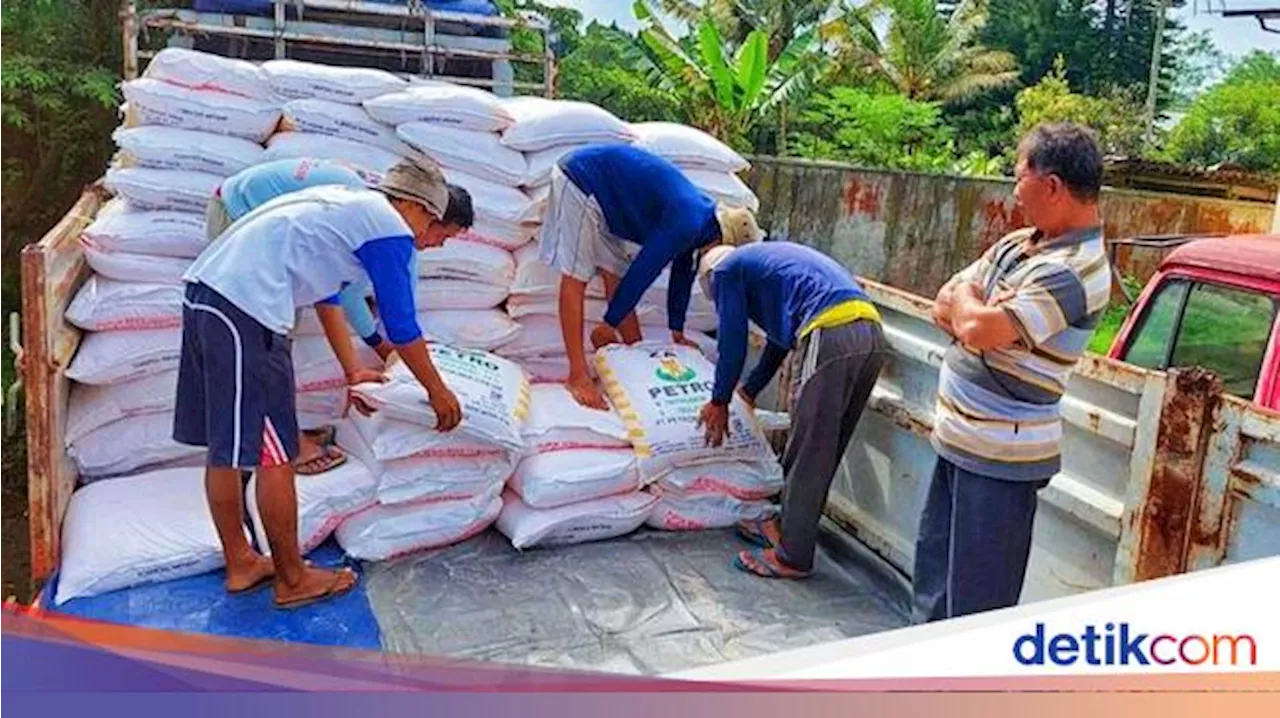 Terungkap! Penyaluran Pupuk Subsidi Ternyata Ruwet-Terlalu Banyak Aturan