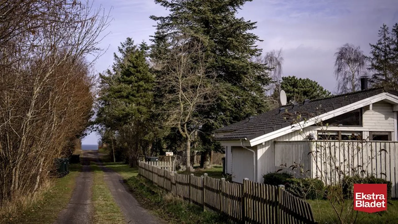 Sommerhus-svindler bag tremmer