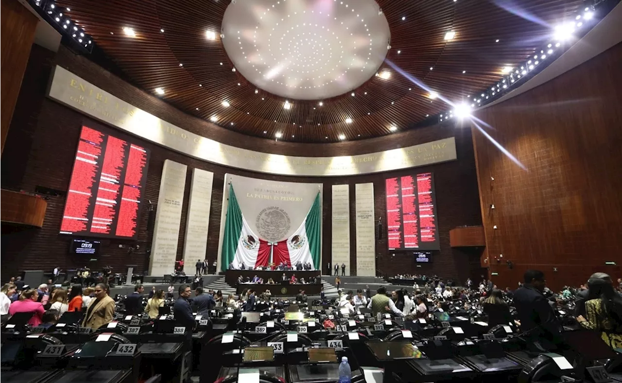 ONG pide a INE resguardar la “representación democrática” en el Congreso