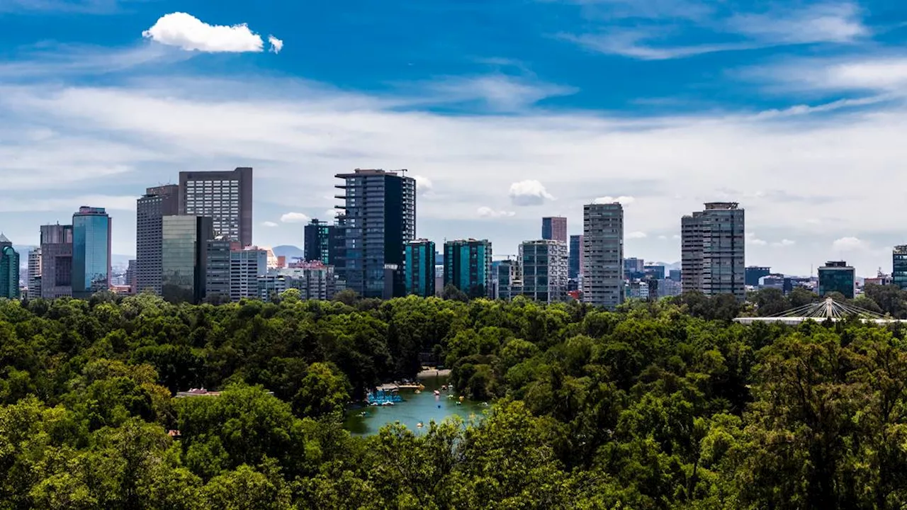 Sedema abre consulta pública sobre el Programa de Manejo Ambiental del Bosque de Chapultepec