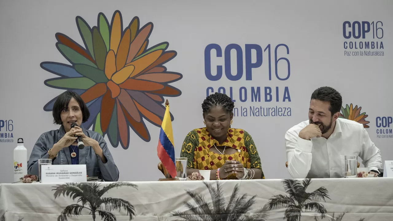 La seguridad de la COP16 está garantizada: comité organizador