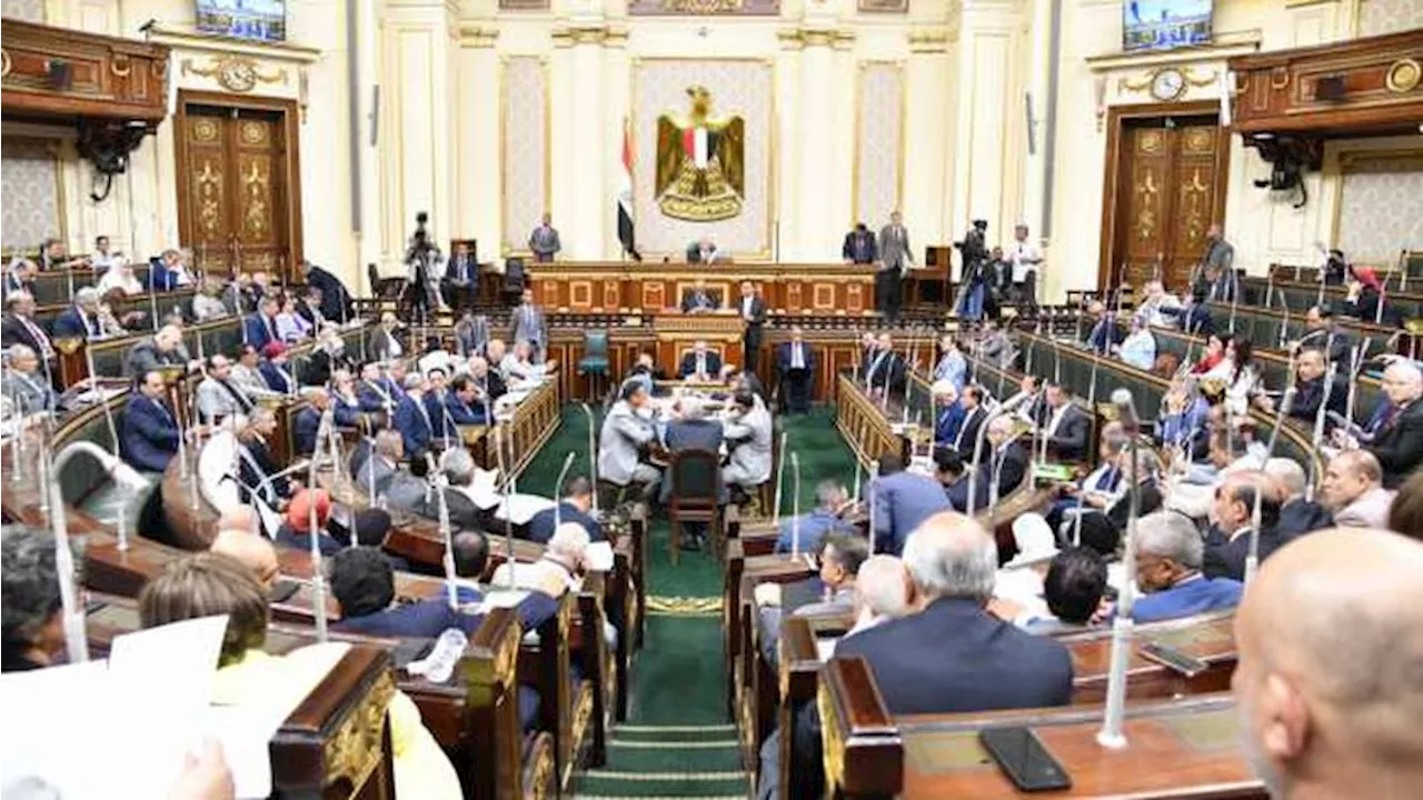 «اقتصادية النواب»: خطوات جادة من الحكومة لجذب الاستثمارات وتوطين الصناعة