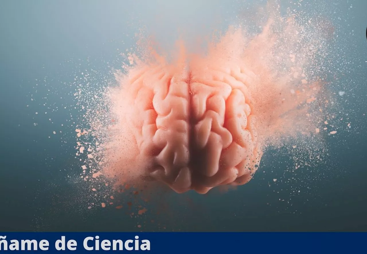 Acaban de DEMOSTRAR que el cerebro SÍ PUEDE regenerarse solo bajo estas condiciones