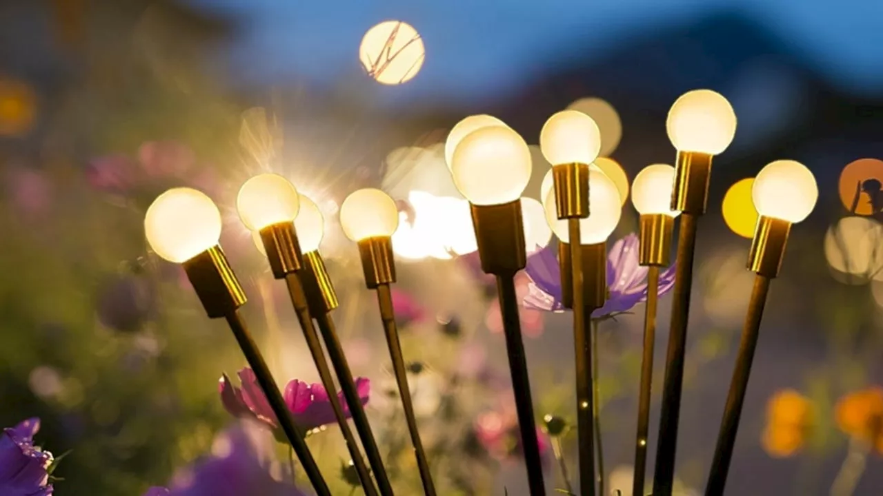 The Best Amazon Prime Day Deals on Outdoor Solar Lights to Brighten Your Yard This Summer