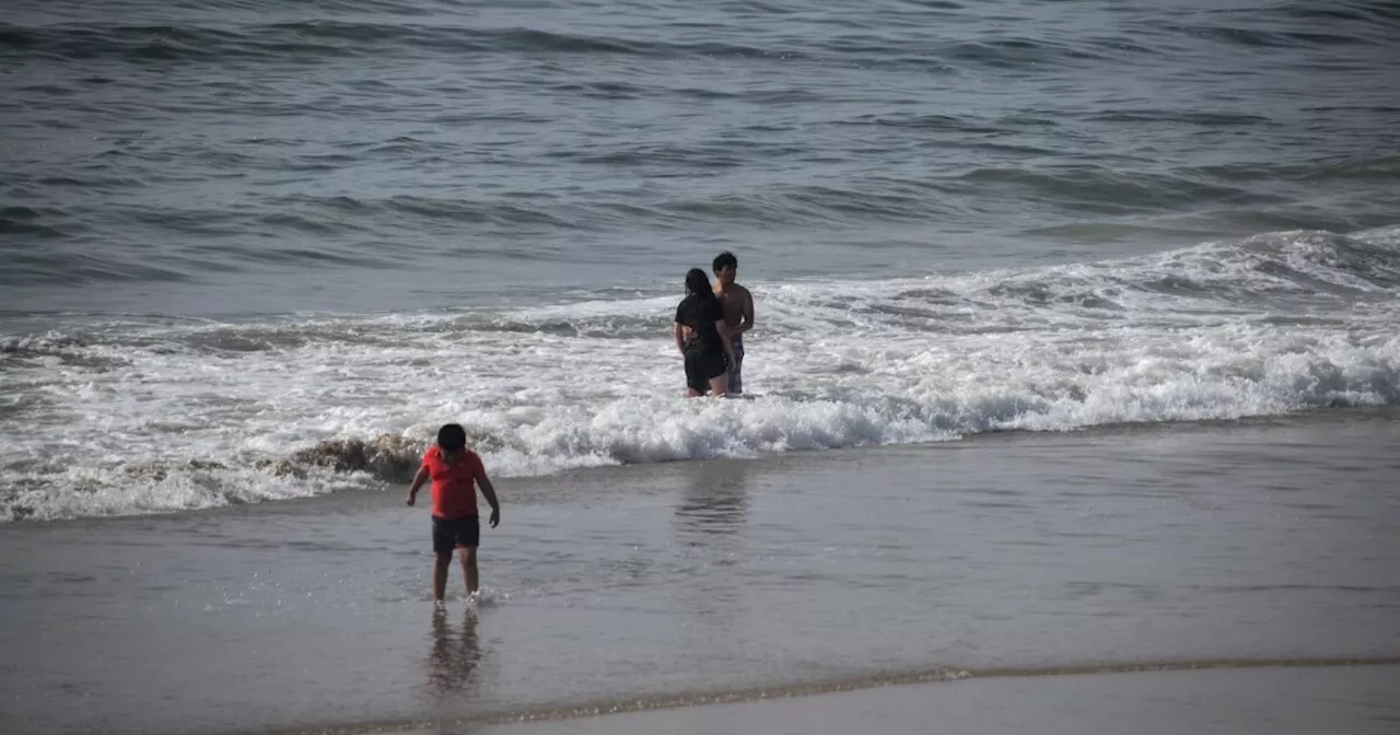 Cofepris alerta por playas contaminadas 2024 que no son seguras para vacacionar