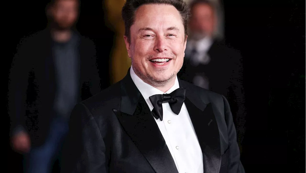 Comme Elon Musk, ces autres patrons de la tech soutiennent Donal Trump