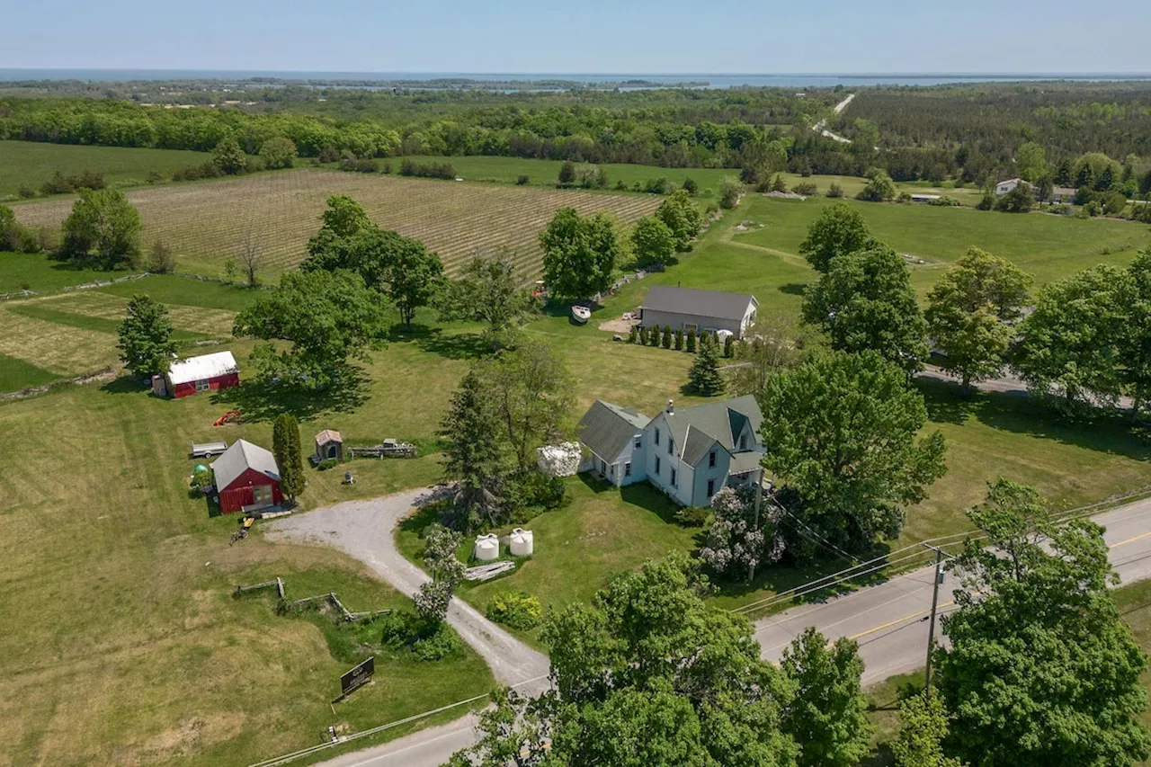 After pandemic boom, Prince Edward County is becoming a buyer’s market