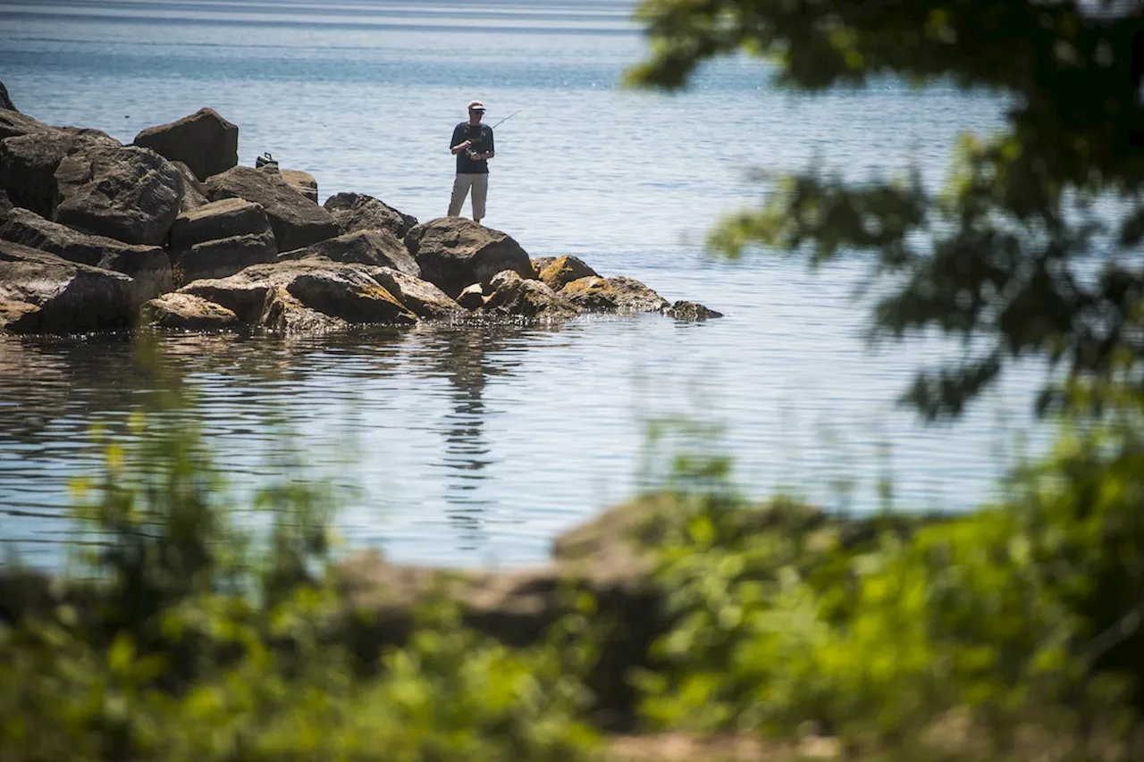 Microplastics levels high in Toronto-caught fish