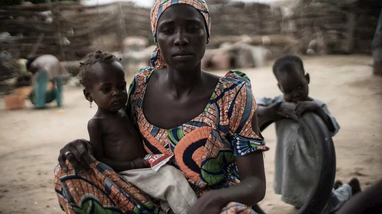 Over 800 million people are malnourished globally — FAO