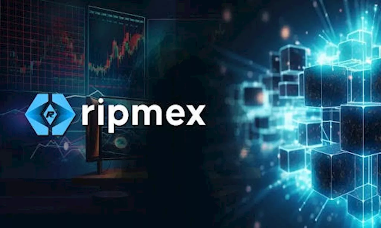 Ripmex Debuts RPX Tokens PreSale: Commission-Free Trading For a New Financial Era