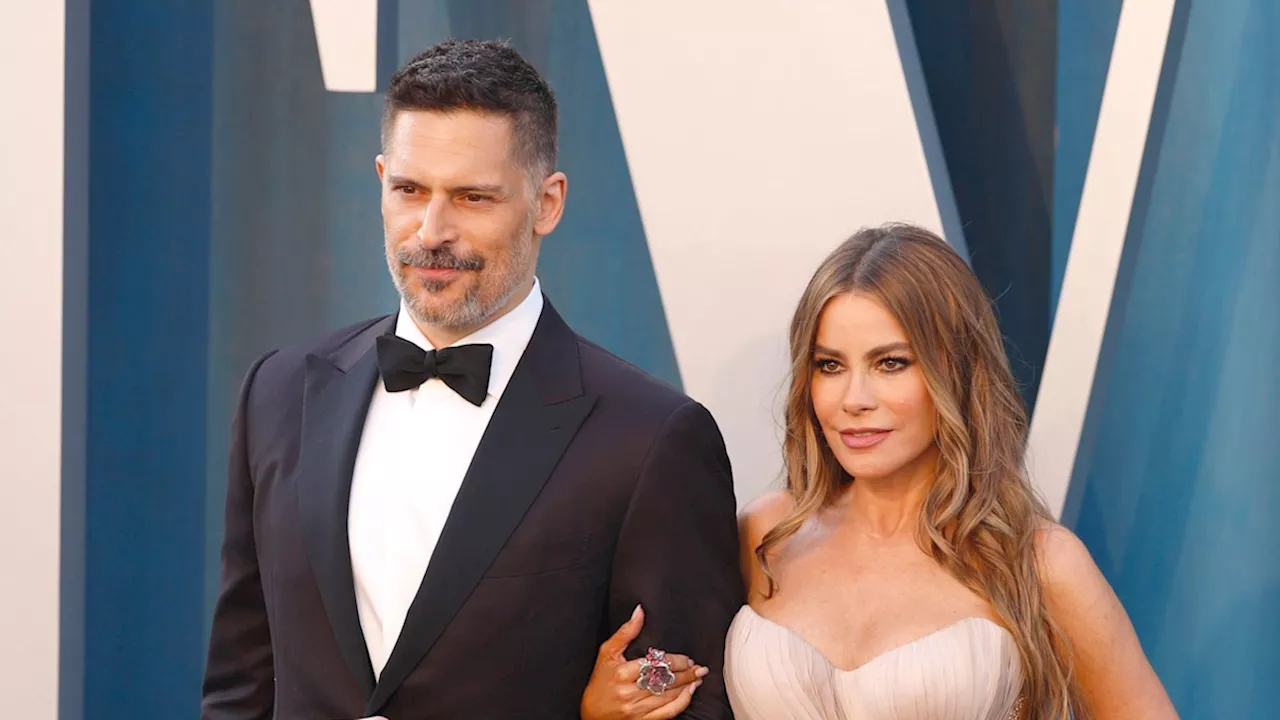 Joe Manganiello calls out Sofia Vergara, says her reason for divorce 'simply not true'