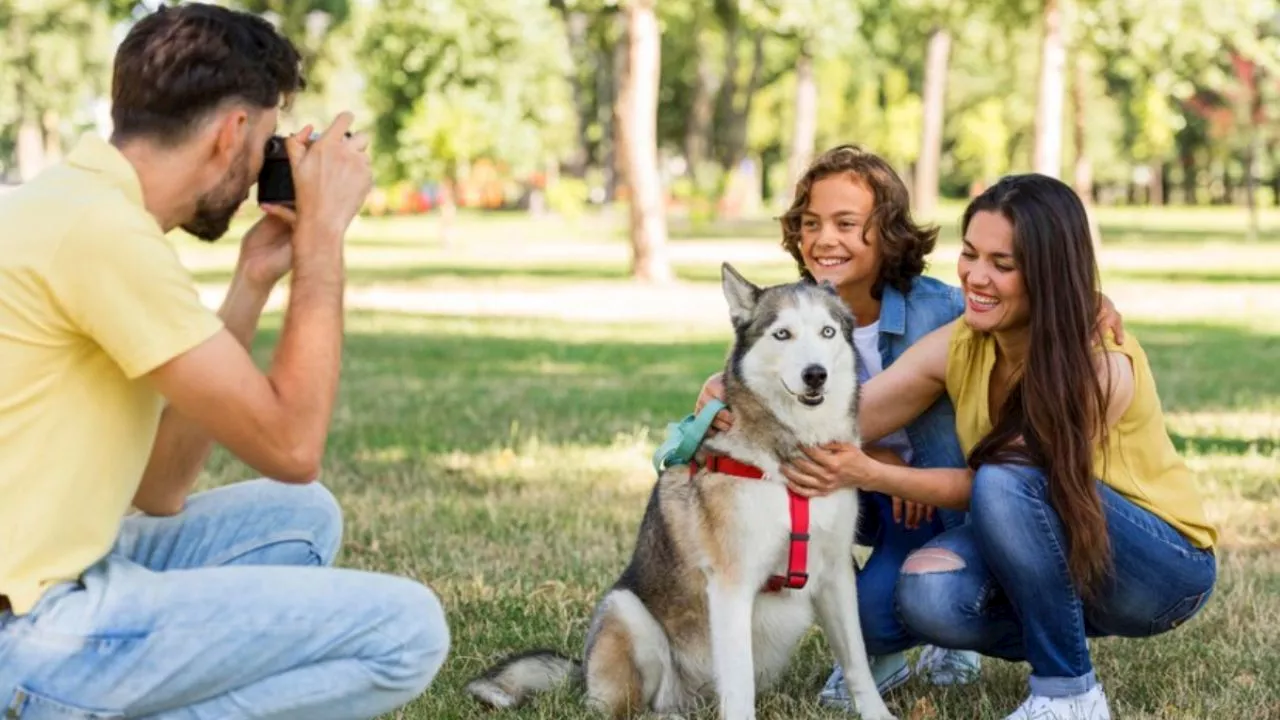 Día del Perro: 5 parques petfriendly en la CDMX para pasear y jugar con tu lomito sin ningún peligro