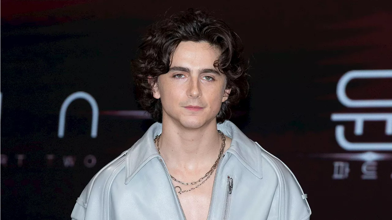 Crewmitglieder packen aus - 'Grausam': Schwere Vorwürfe gegen Timothée Chalamet