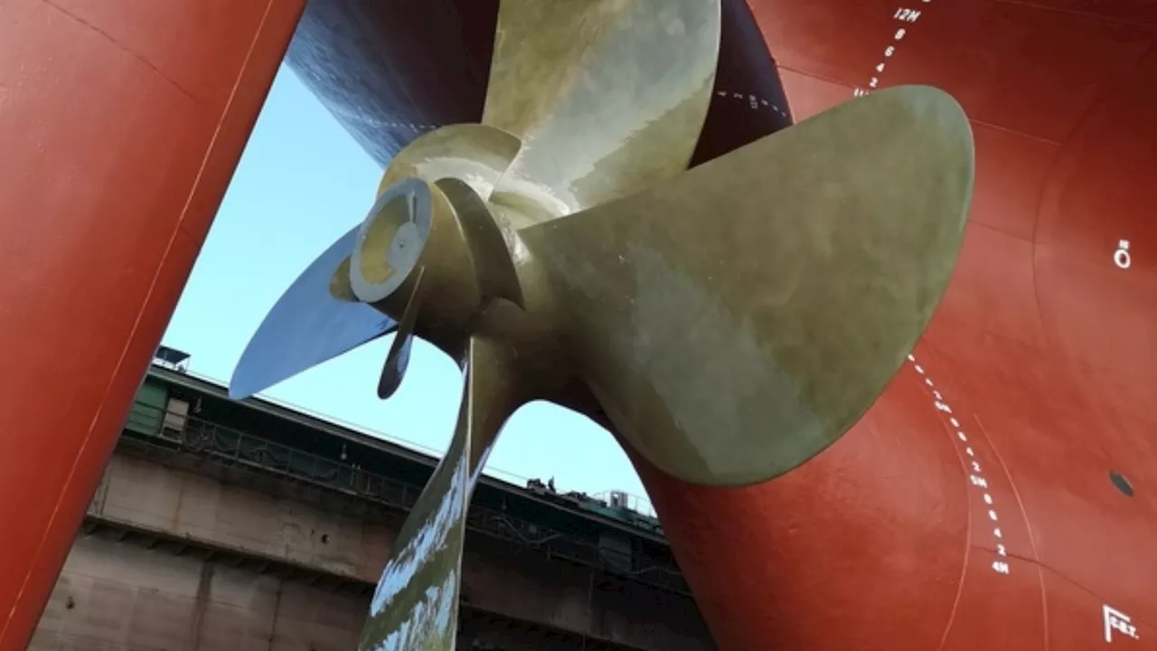 Dolphin skin propeller to help 300,000-ton tanker save 300-ton fuel yearly