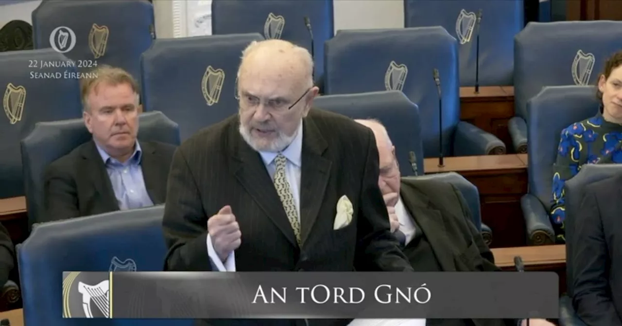 David Norris’s Seanad seat unlikely to be filled before general election