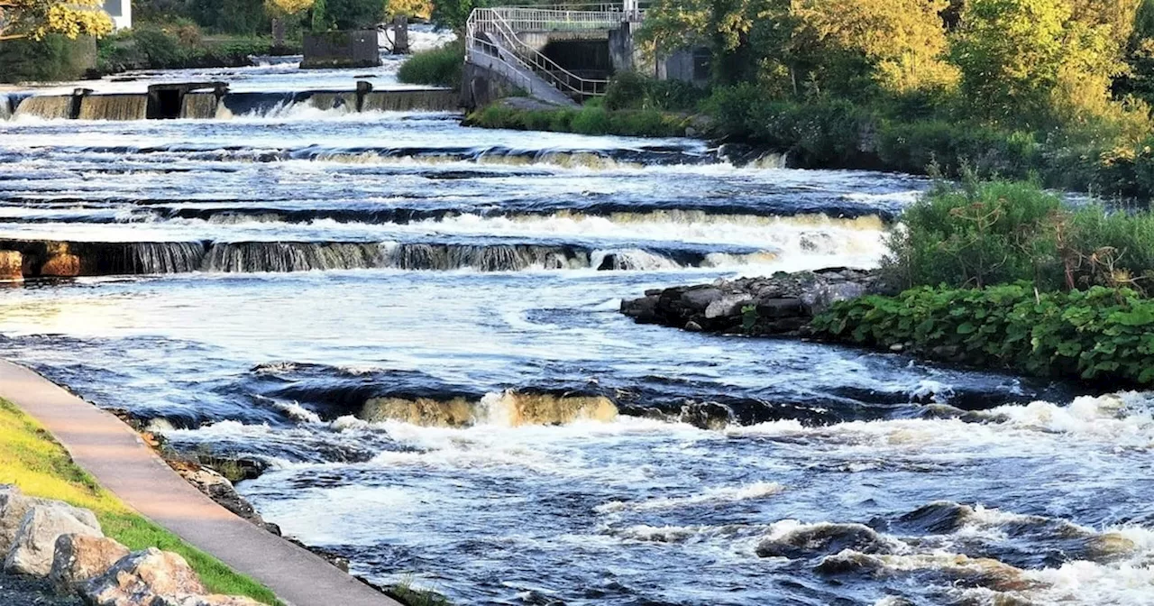 Deaths of about 850 wild Atlantic salmon in Co Sligo river trigger investigation