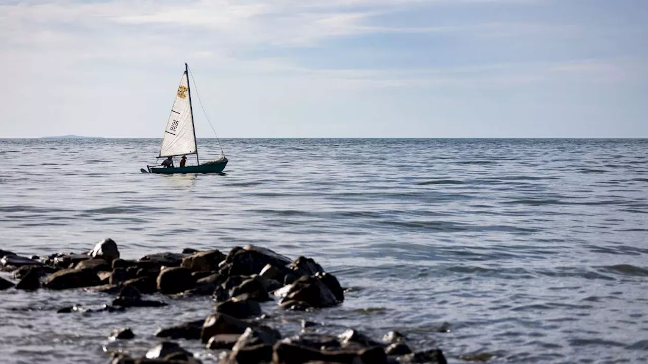 12 Great Salt Lake-themed art projects unveiled as Salt Lake City looks to 'wake' the lake