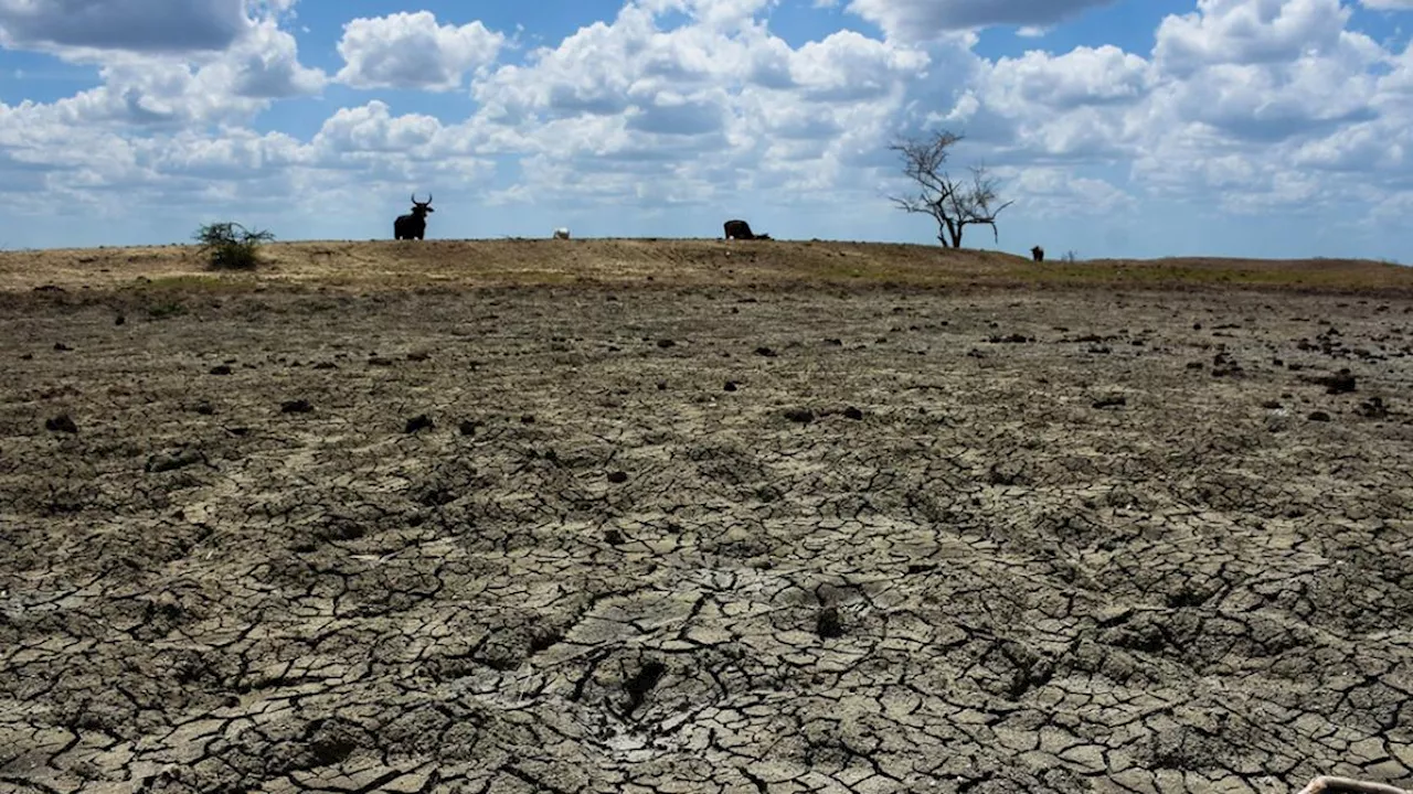 Nuevo León publica acuerdo por el que se expide el Programa Estatal de Cambio Climático