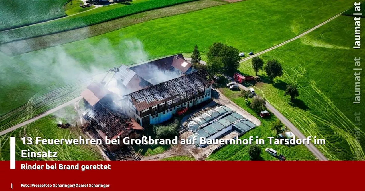 13 Feuerwehren bei Großbrand auf Bauernhof in Tarsdorf im Einsatz