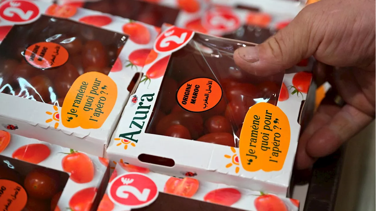 Les tomates marocaines à 99 centimes critiquées par la FNSEA, le producteur se défend