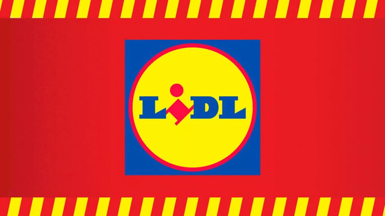 Opération déstockage chez Lidl : jusqu’à -50% sur les produits dédiés à l’extérieur