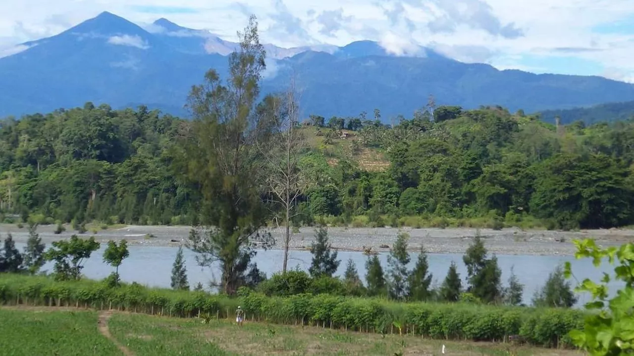 6 Fakta Menarik Gunung Katopasa, Gunung Tertinggi di Sulawesi Tengah