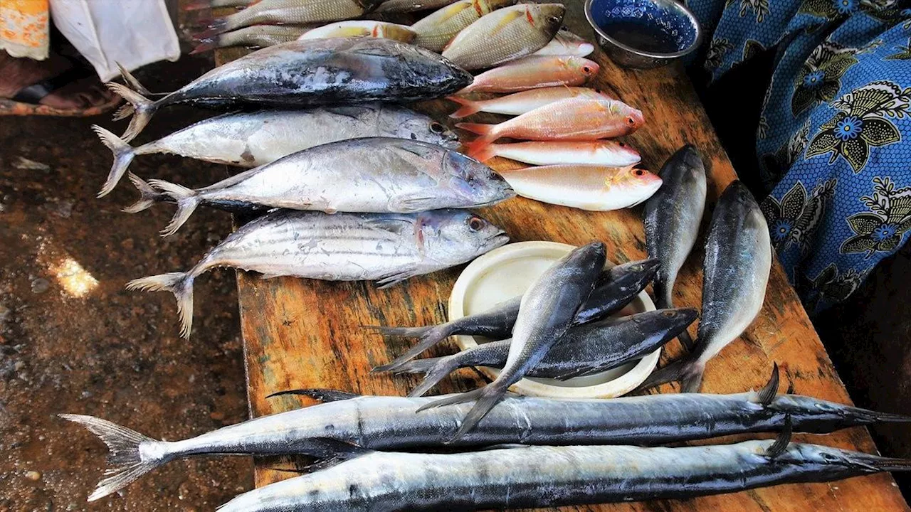 6 Resep Ikan Tongkol Balado Pedas Gurih, Lauk Harian yang Gugah Selera