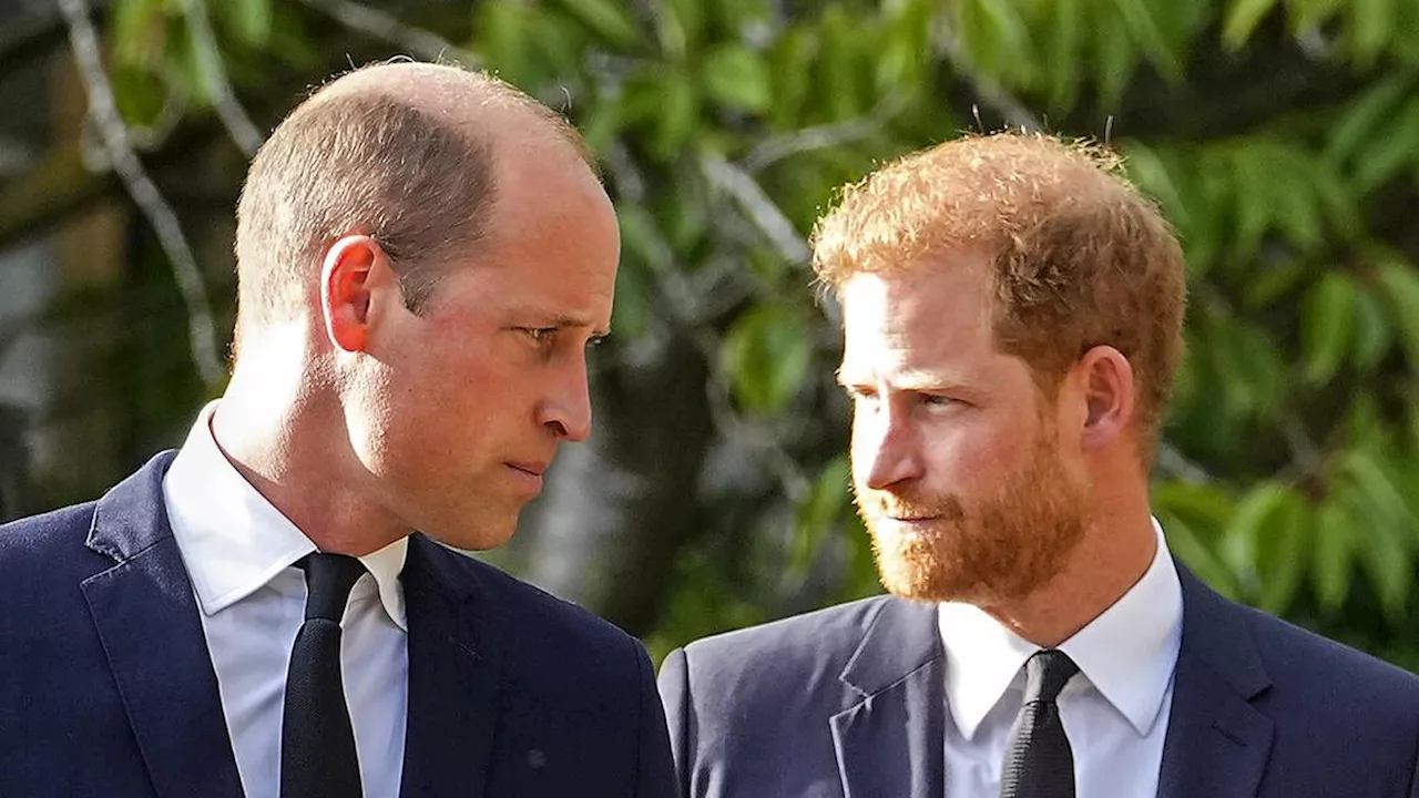 Pangeran William Pilih Putus Hubungan dengan Pangeran Harry daripada Terus-menerus Dibuat Kesal