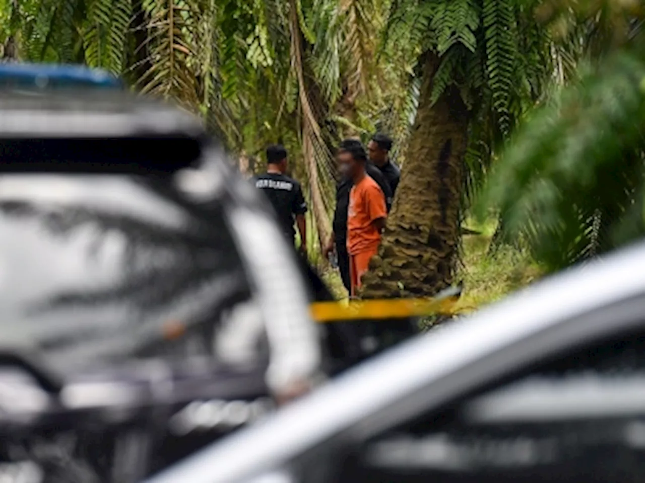 Oil palm plantation likely scene of Nur Farah Kartini’s murder, says Selangor police chief