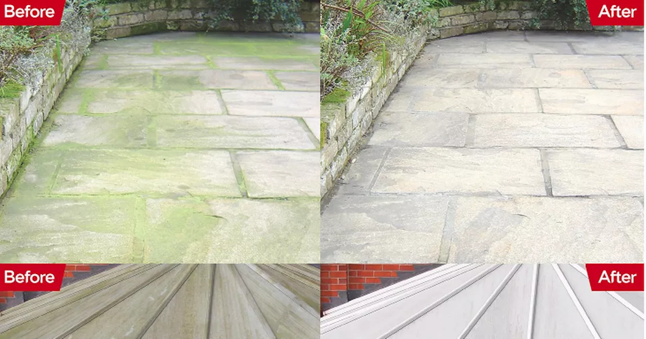 Gardeners rave over 'magic' cleaning solution that rids weeds from their patios