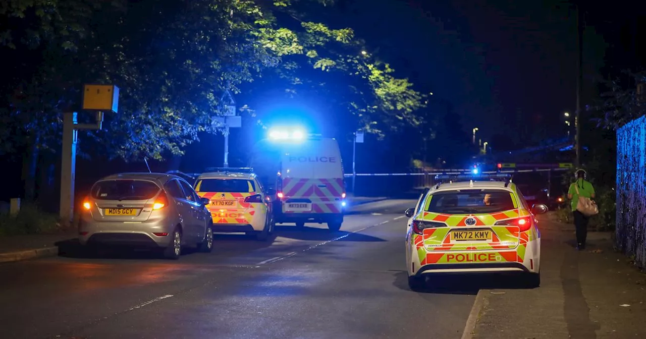 Woman and children in hospital after suspected arson attack on house