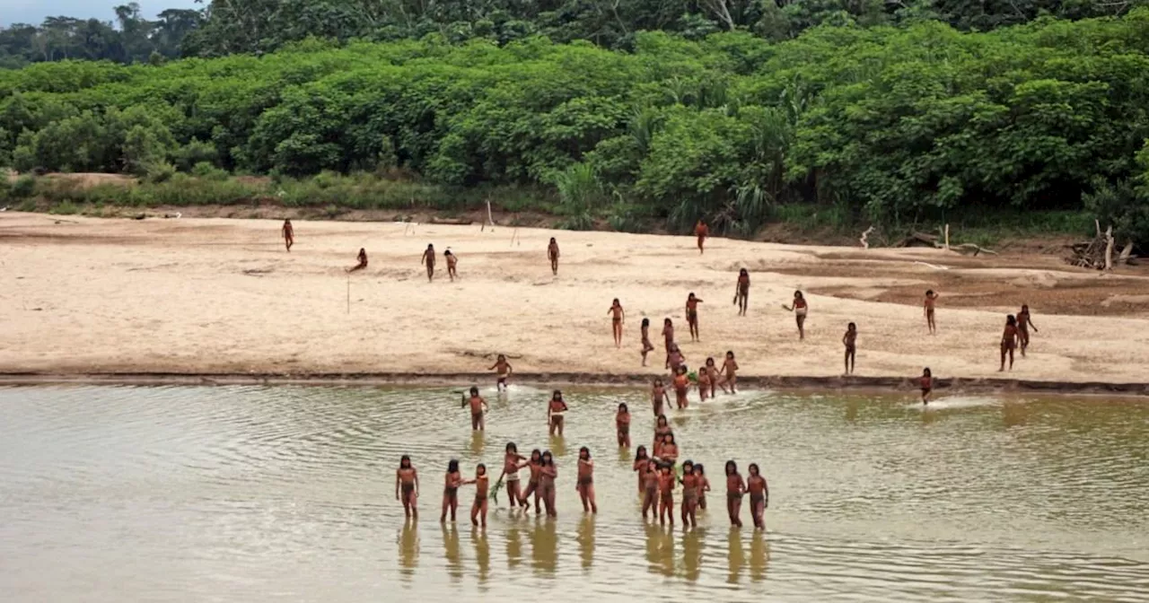 World's most isolated tribe emerges from Amazon after loggers move in