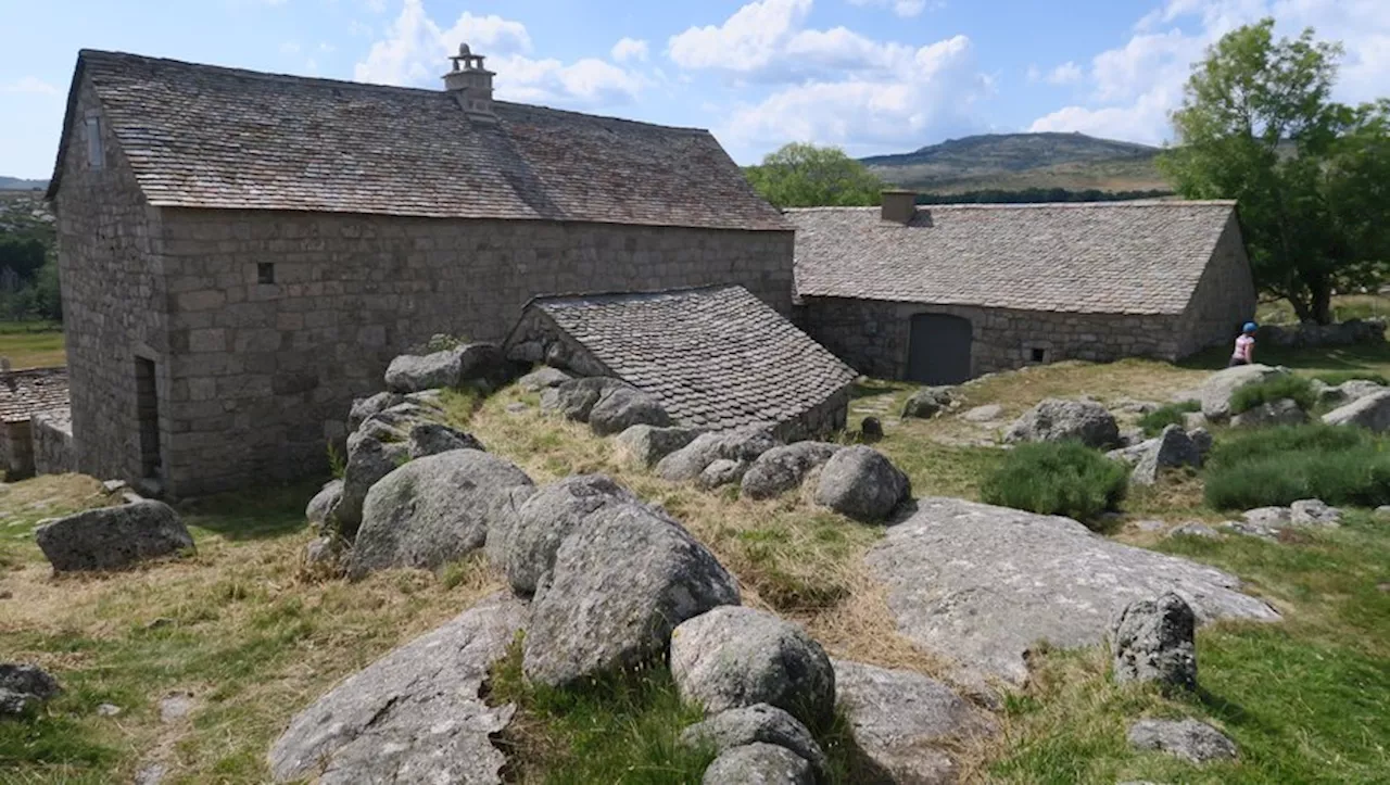 Les Estivales Causses et Cévennes proposent de nombreuses activités en Lozère