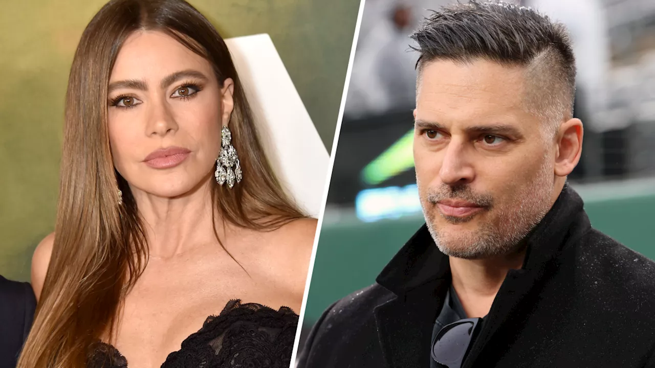 Joe Manganiello says Sofía Vergara's reason for divorce is ‘simply not true'