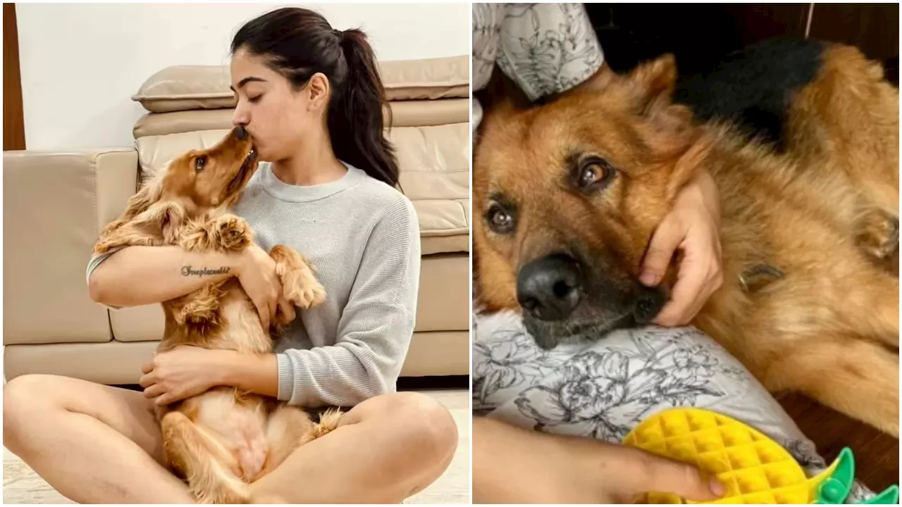 Rashmika Mandanna Pet: रश्मिका मंदाना के पेट डॉगी का निधन, एक्ट्रेस ने शेयर किया इमोशनल पोस्ट