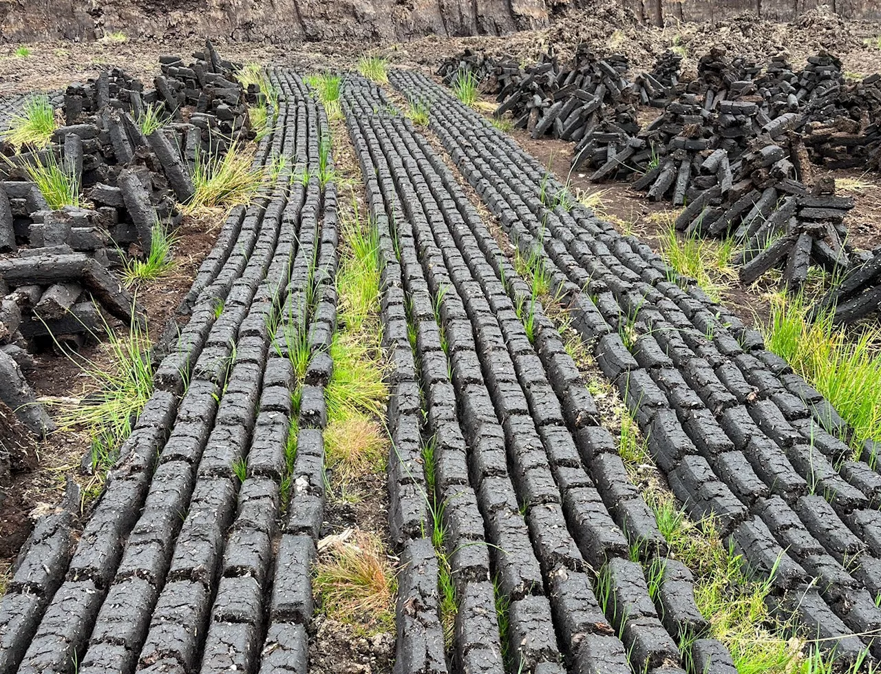 ‘Dublin won't warm our homes for us’ – The farmers fighting to keep turf-cutting alive