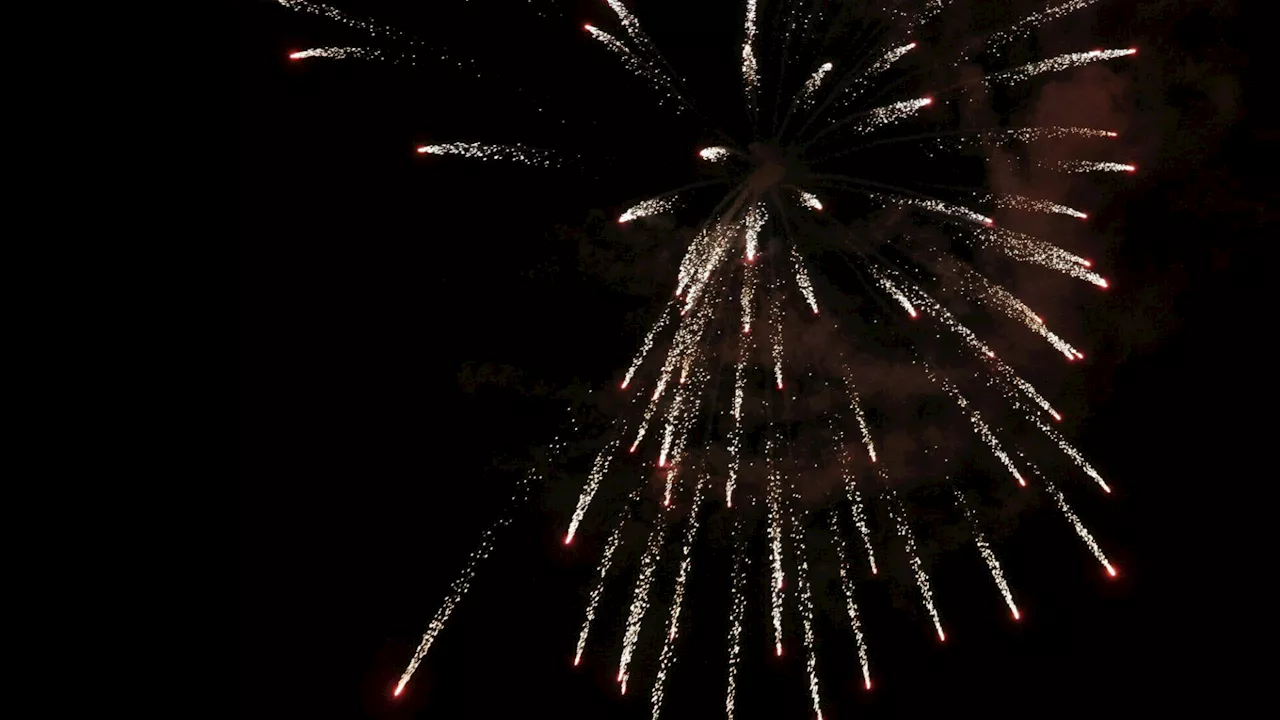 Assisihof fürchtet, dass das DDSG-Feuerwerk nach Stockerau rückt