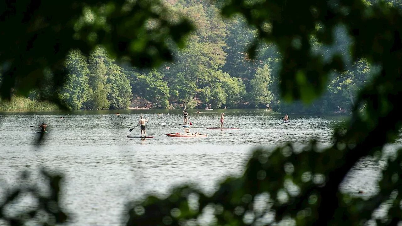 Berlin & Brandenburg: Wasserqualität der Badegewässer fast überall sehr gut