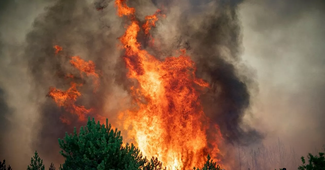 Nordmazedonien kämpft gegen Waldbrände