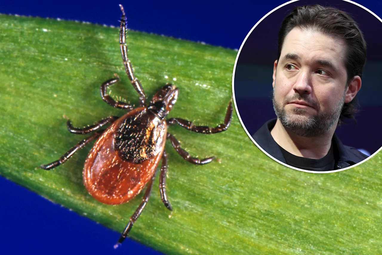 Alexis Ohanian has Lyme disease — everything you need to know about the serious illness