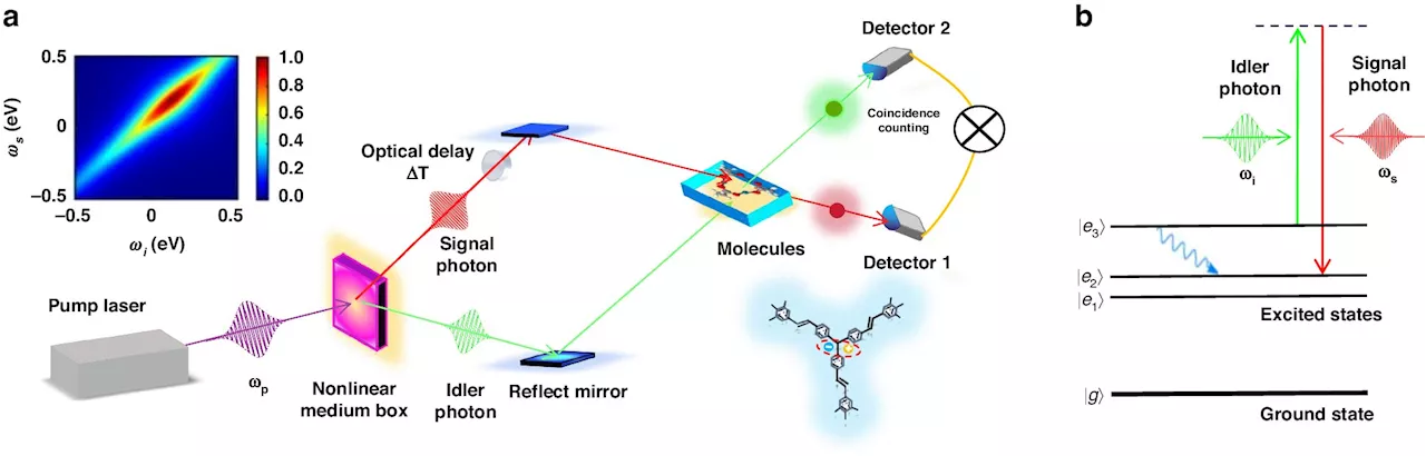 High-speed camera for molecules: Entangled photons enable Raman spectroscopy