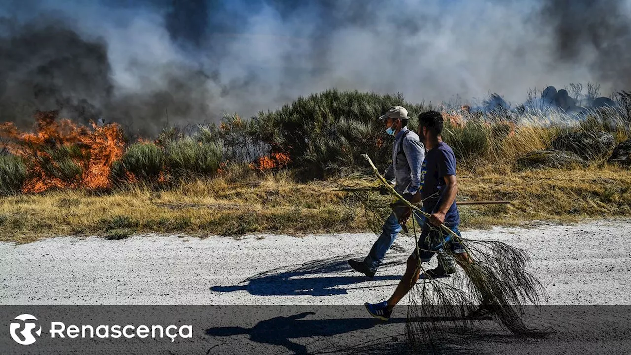 Covilhã reforça pontos de água de combate ao fogo na Serra da Estrela