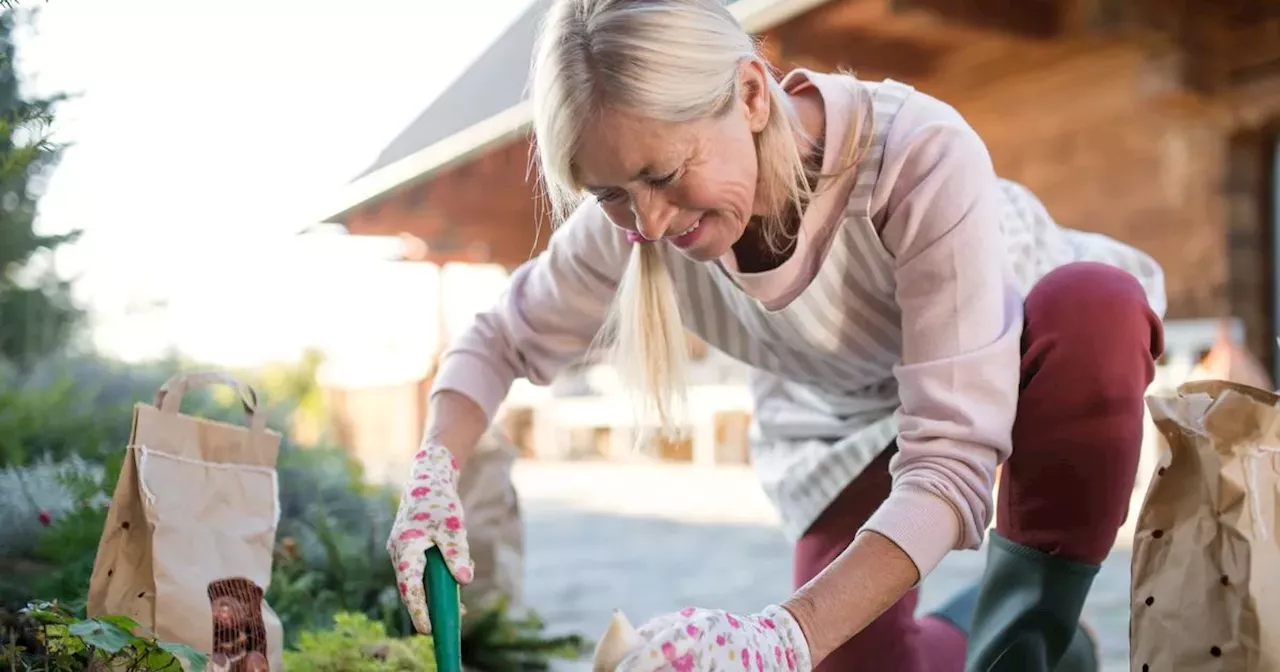 Transform your garden with coffee grounds, cooking water, banana peels and more