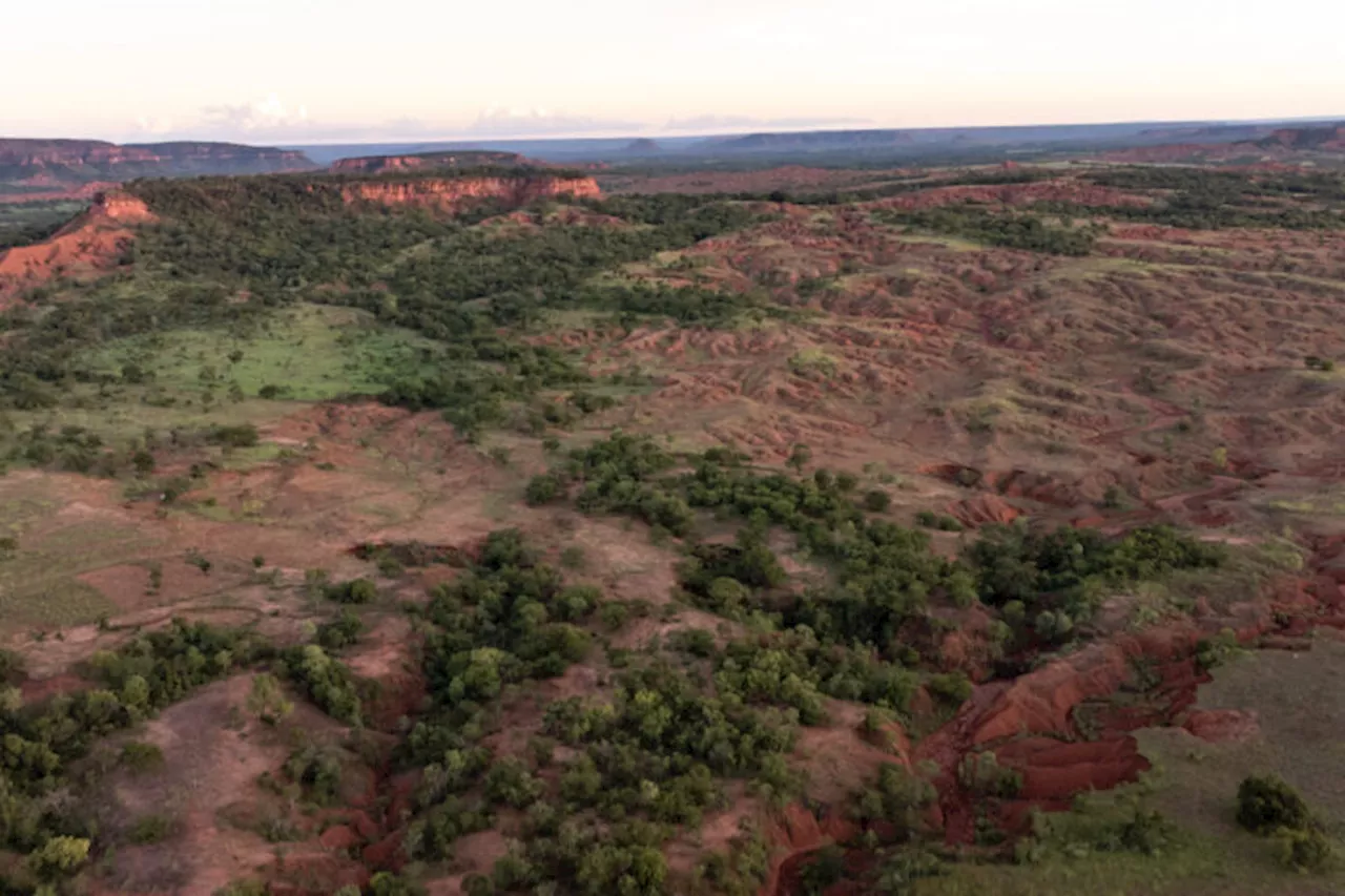 In a desertscape in Brazil, science brings farms to bountiful life