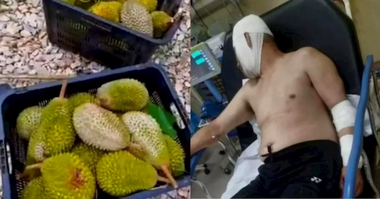 12 Orang Perompak Serang Pekebun Di Raub & Curi Durian Musang King Bernilai RM3,000